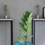 Casa Living Setiabudi Jakarta
